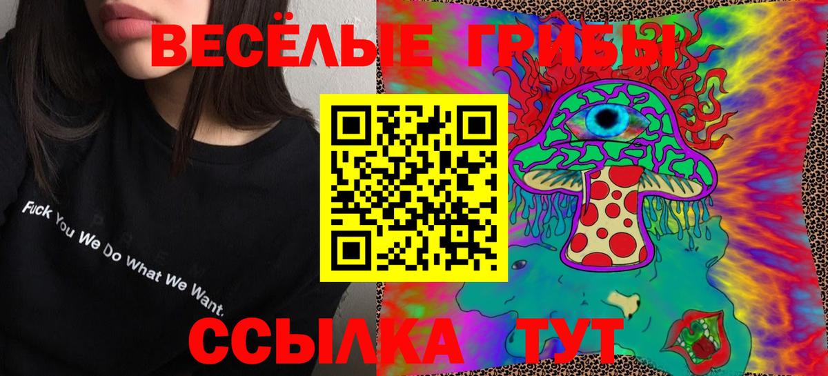 Горно-Алтайск  Галлюциногенные грибы Psilocybine cubensis  наркота  Вход с VPN  Галлюциногенные грибы мицелий 